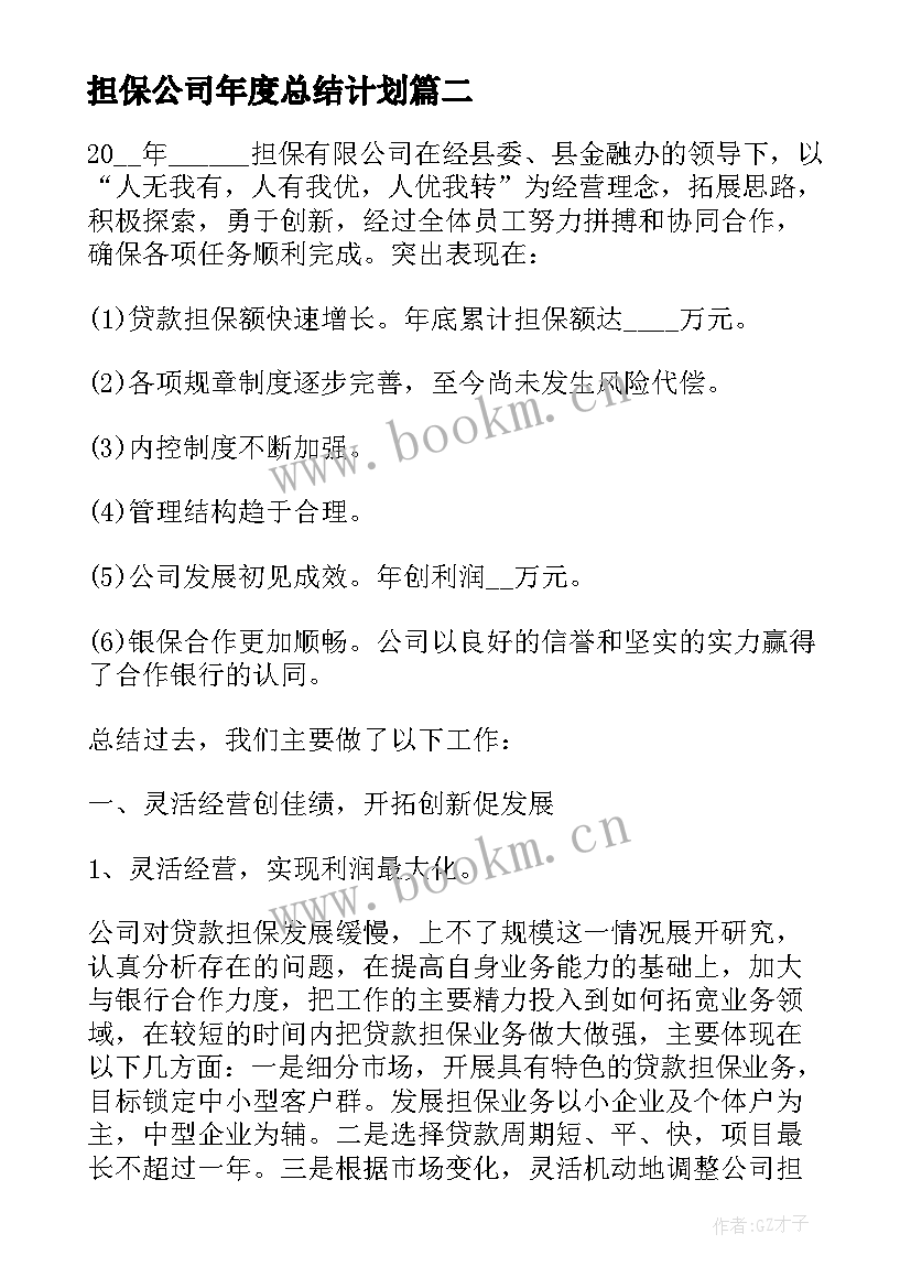 最新担保公司年度总结计划 担保公司个人年度工作总结(实用17篇)