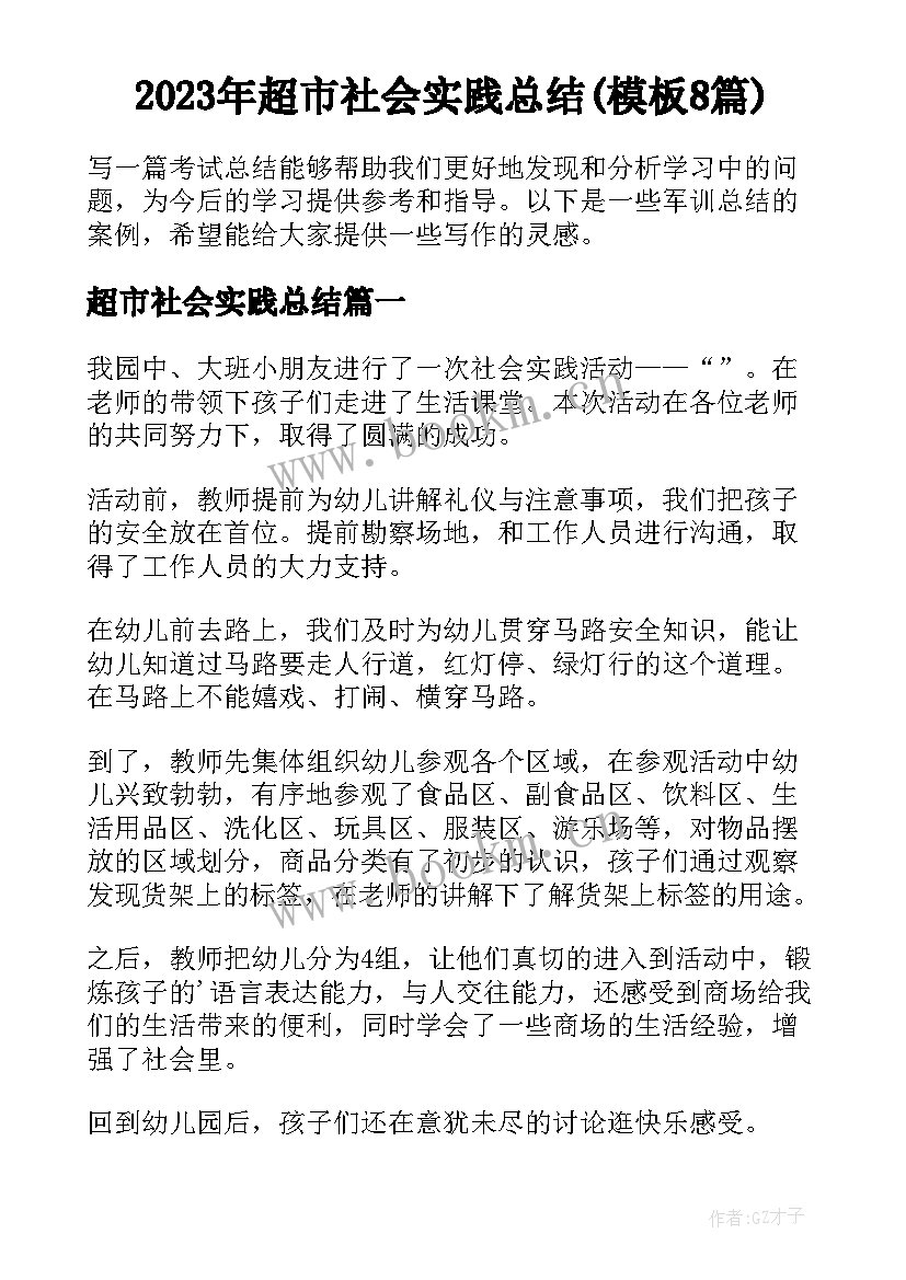 2023年超市社会实践总结(模板8篇)