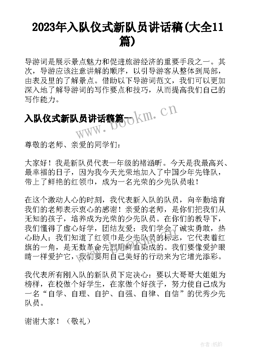 2023年入队仪式新队员讲话稿(大全11篇)