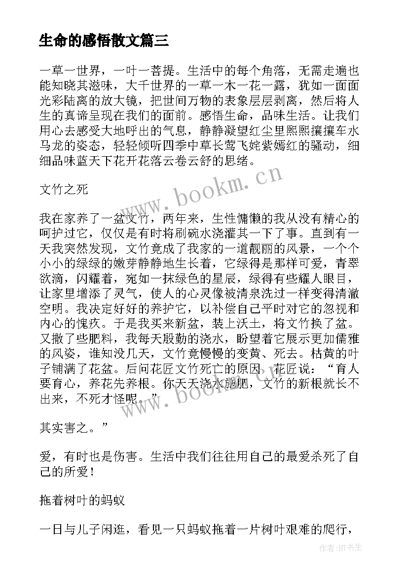 最新生命的感悟散文 感悟生命散文(精选8篇)