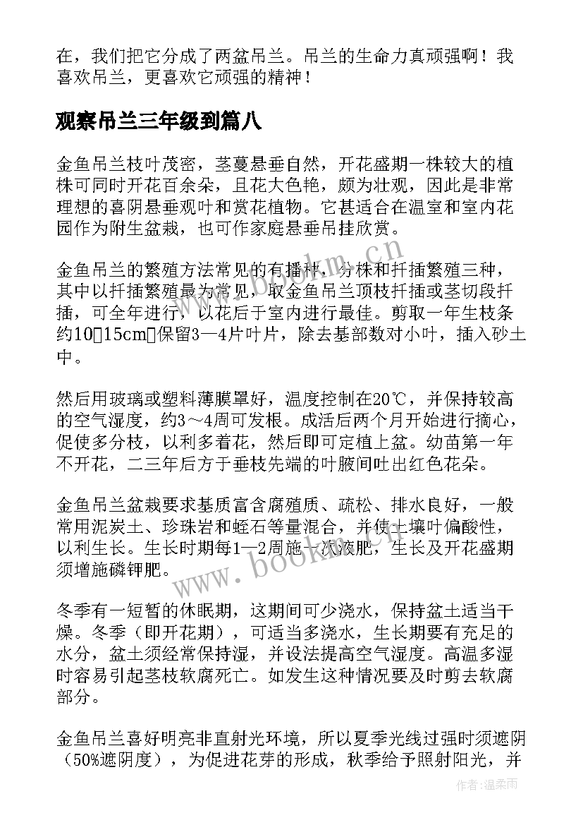 最新观察吊兰三年级到 吊兰观察日记(汇总10篇)