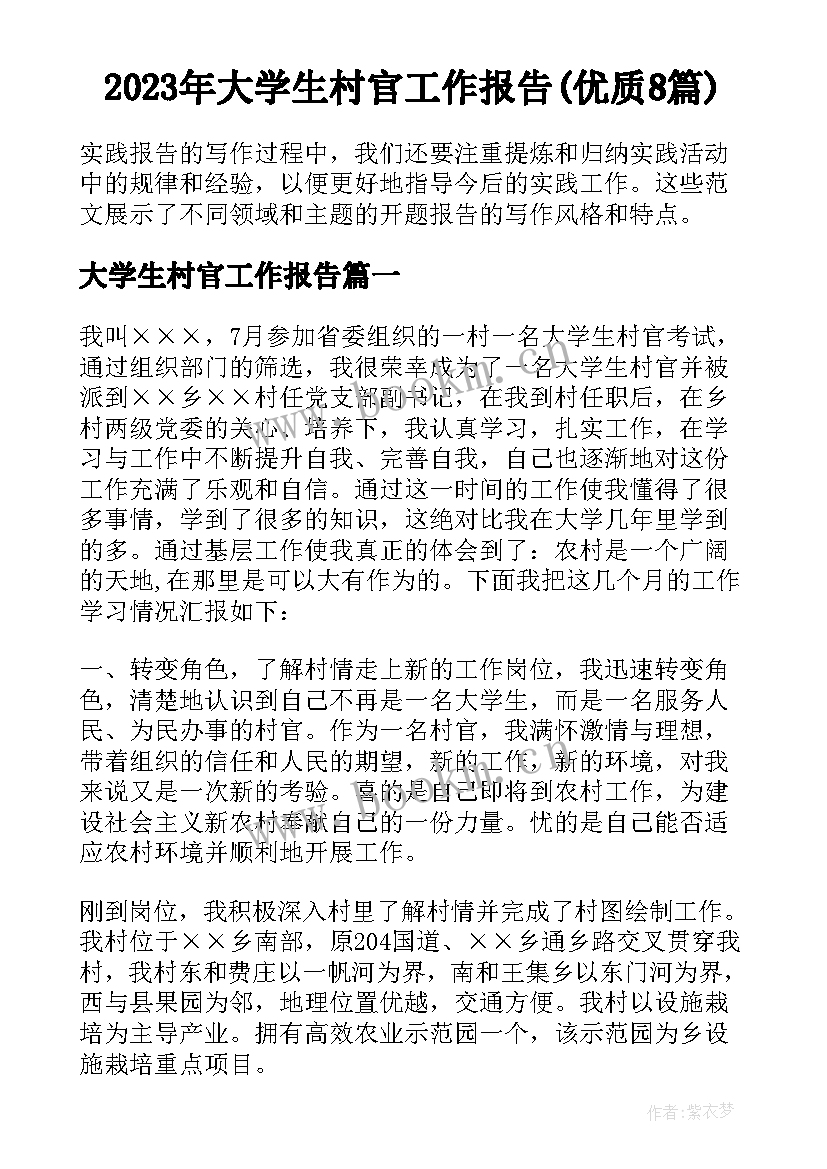 2023年大学生村官工作报告(优质8篇)