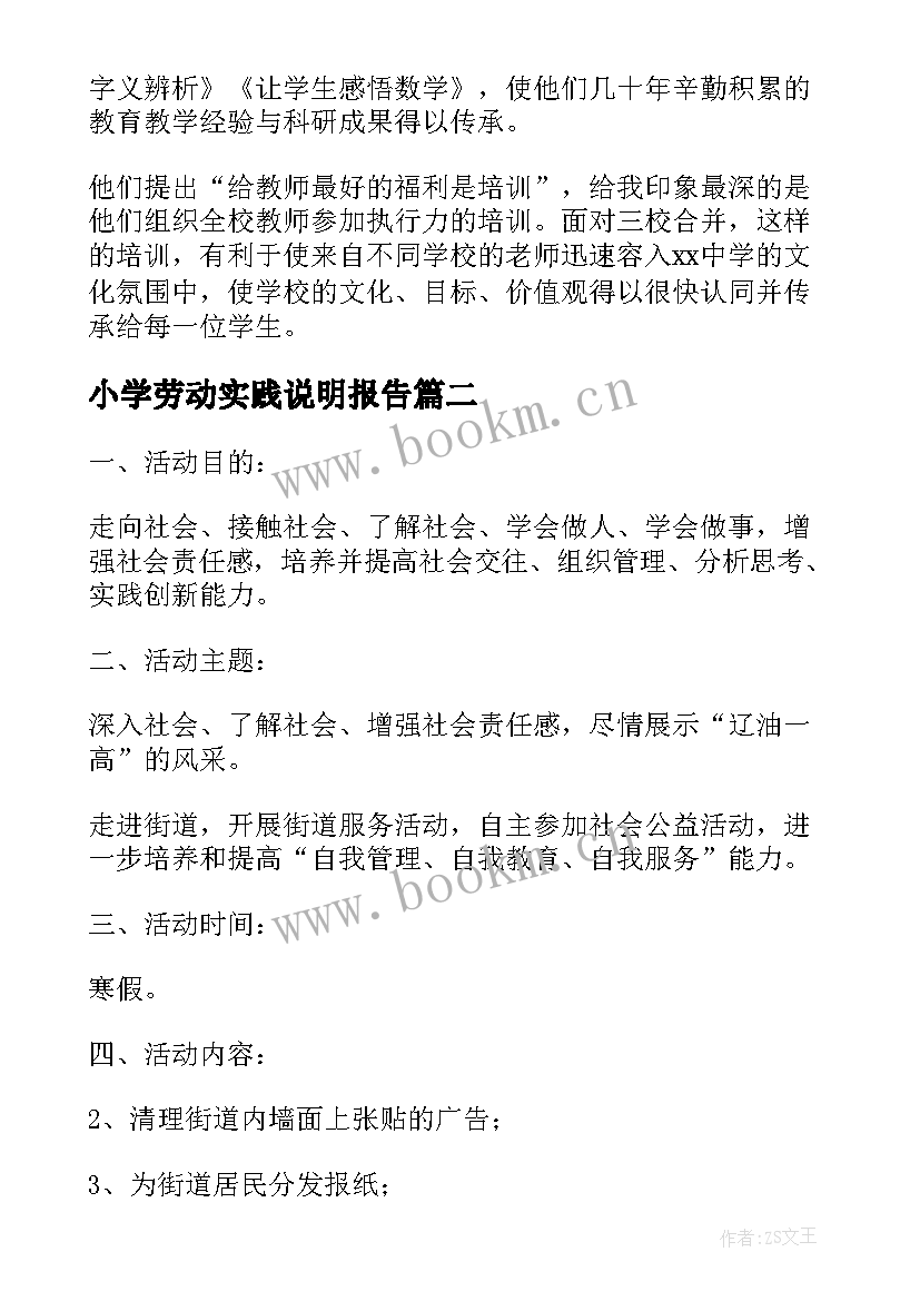 小学劳动实践说明报告(精选5篇)