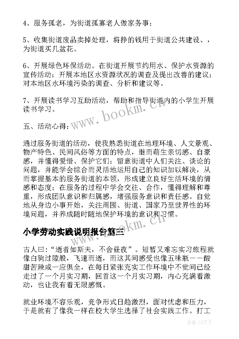 小学劳动实践说明报告(精选5篇)