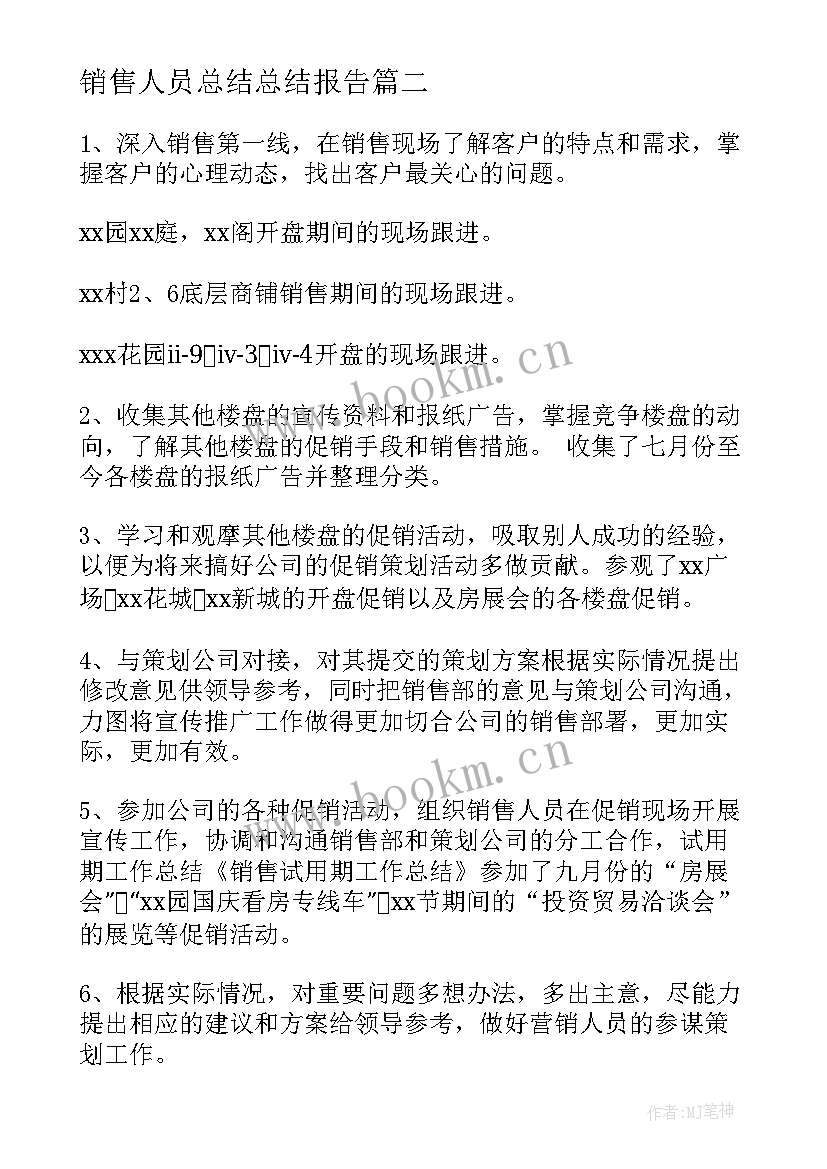 销售人员总结总结报告(精选11篇)