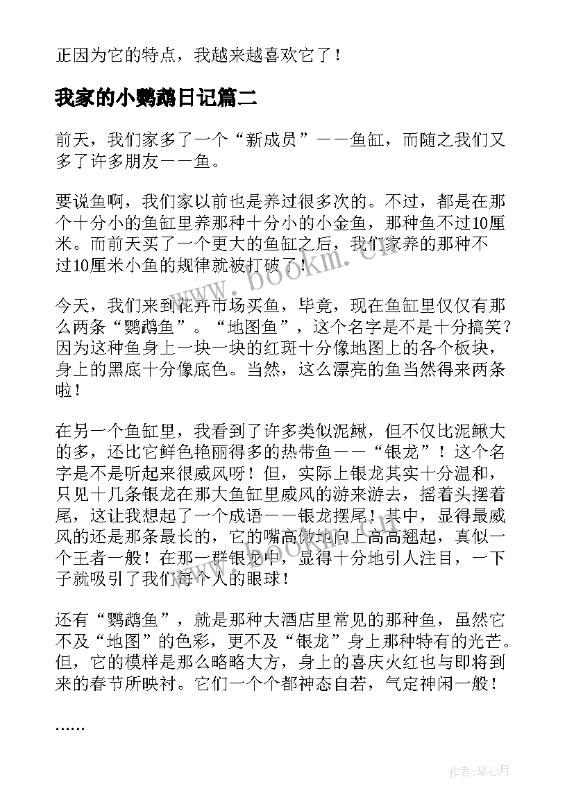 我家的小鹦鹉日记(模板11篇)