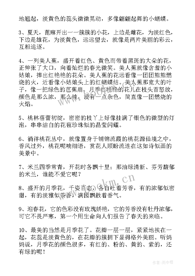 最新雾好句摘抄(通用12篇)