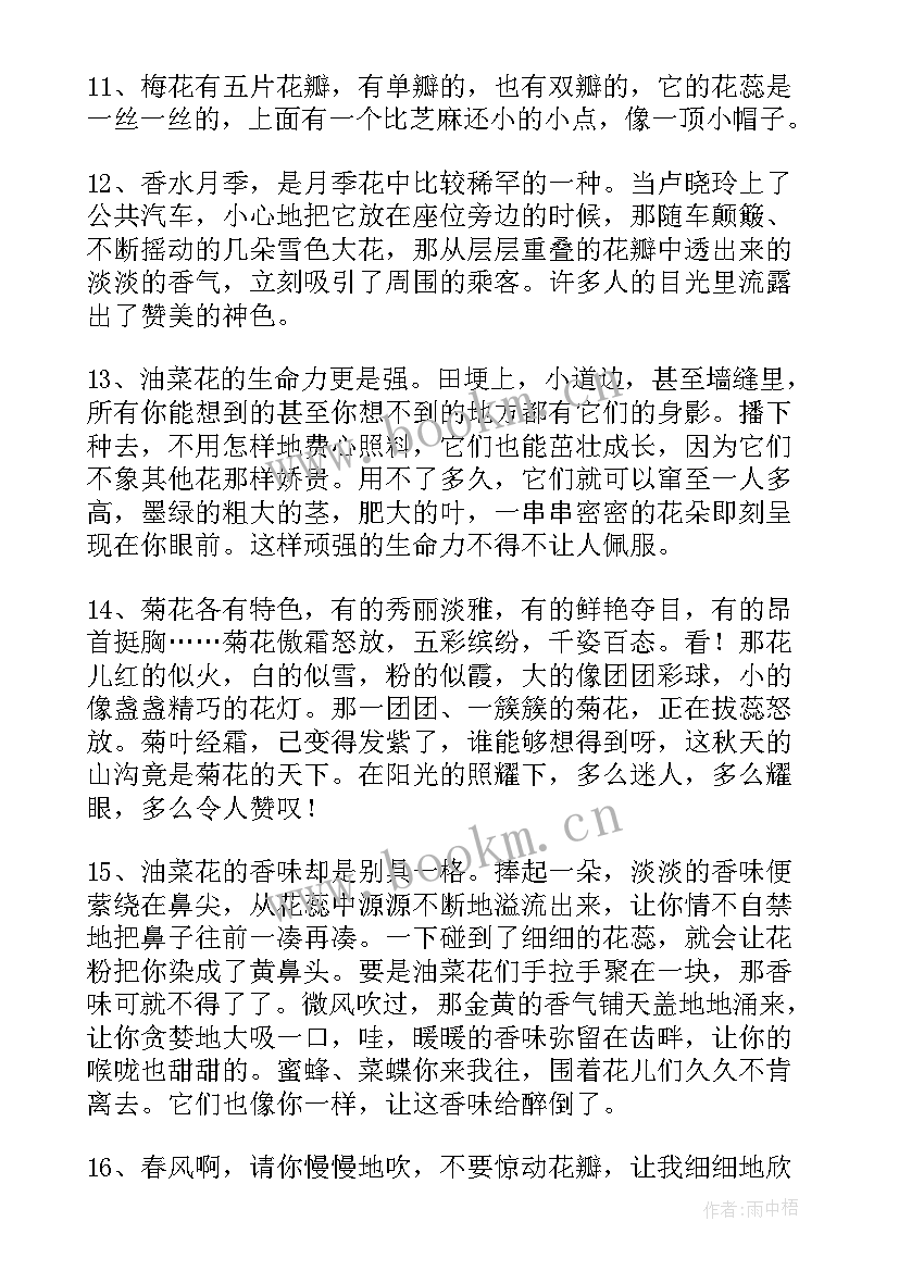 最新雾好句摘抄(通用12篇)