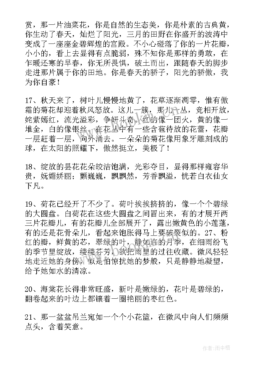 最新雾好句摘抄(通用12篇)