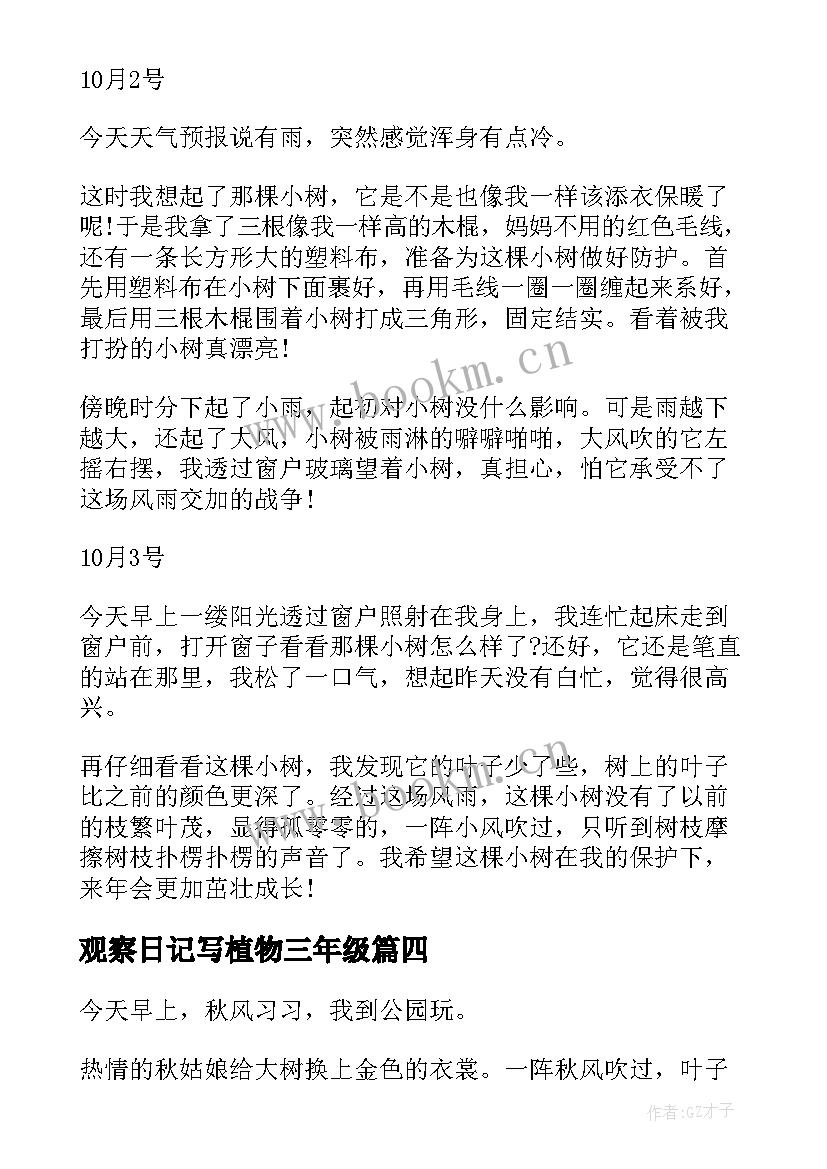 2023年观察日记写植物三年级 植物观察日记(模板19篇)