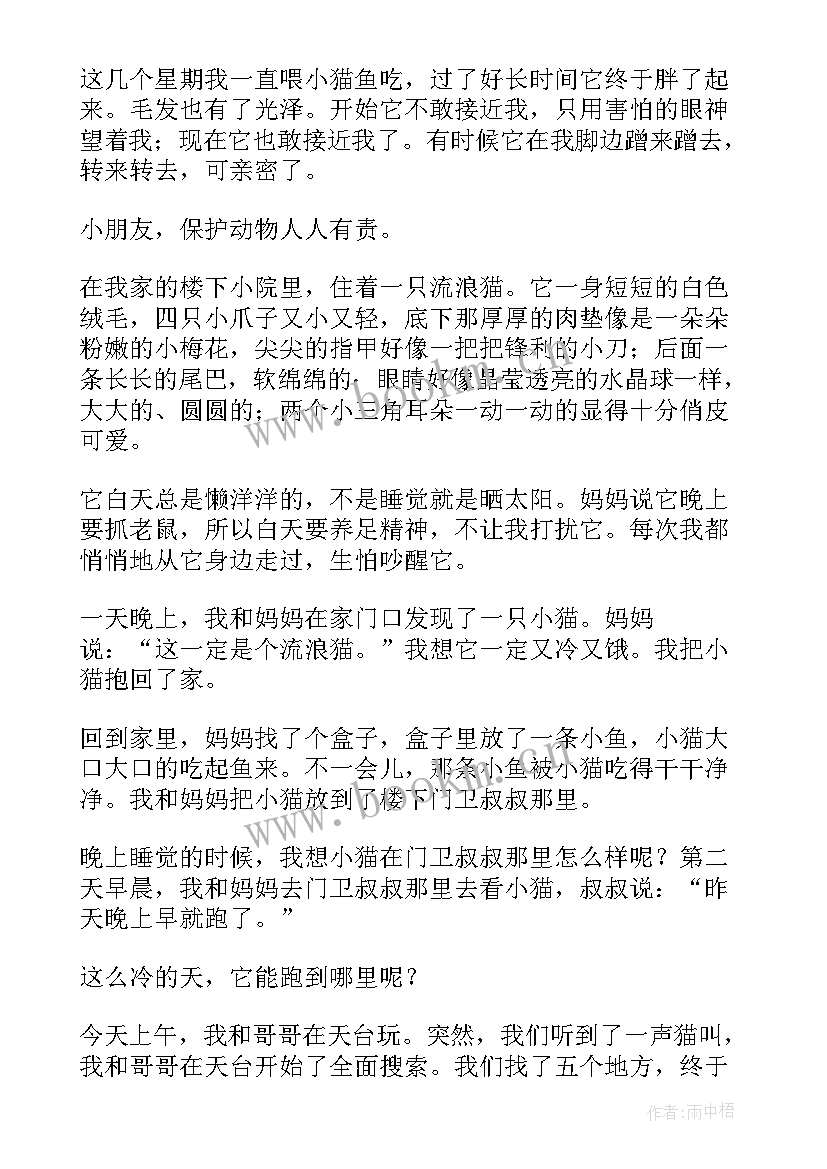 2023年流浪日记攻略 流浪鼠日记想象(优秀8篇)