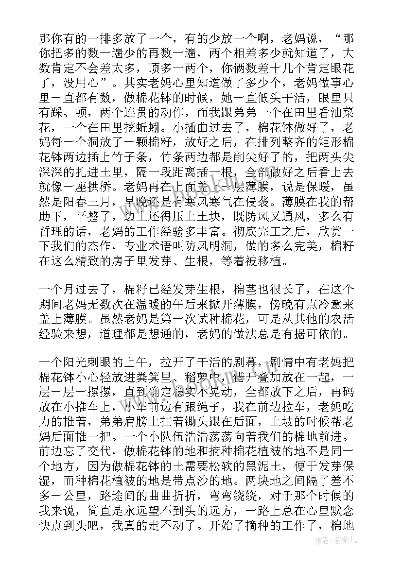 感悟的随笔 生活感悟随笔感悟随笔(精选19篇)