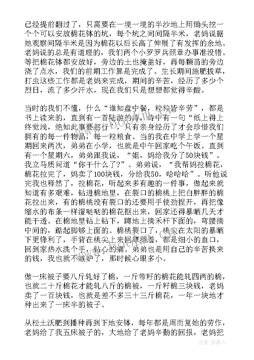 感悟的随笔 生活感悟随笔感悟随笔(精选19篇)