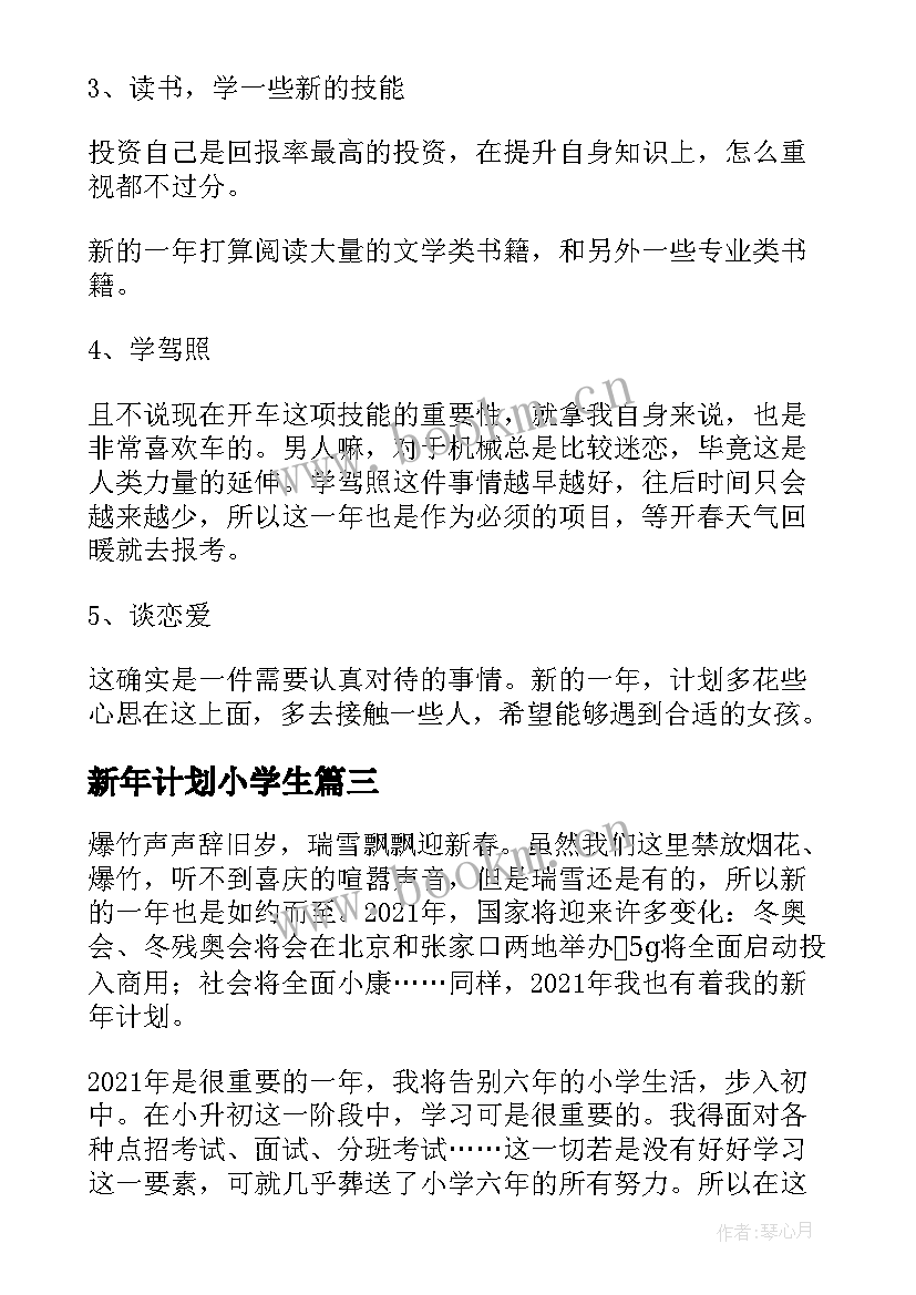 最新新年计划小学生 新年计划的小学(优质8篇)