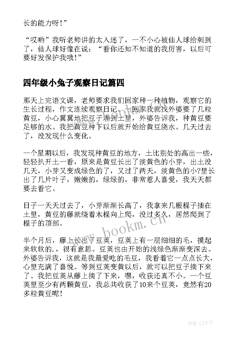 最新四年级小兔子观察日记(实用9篇)