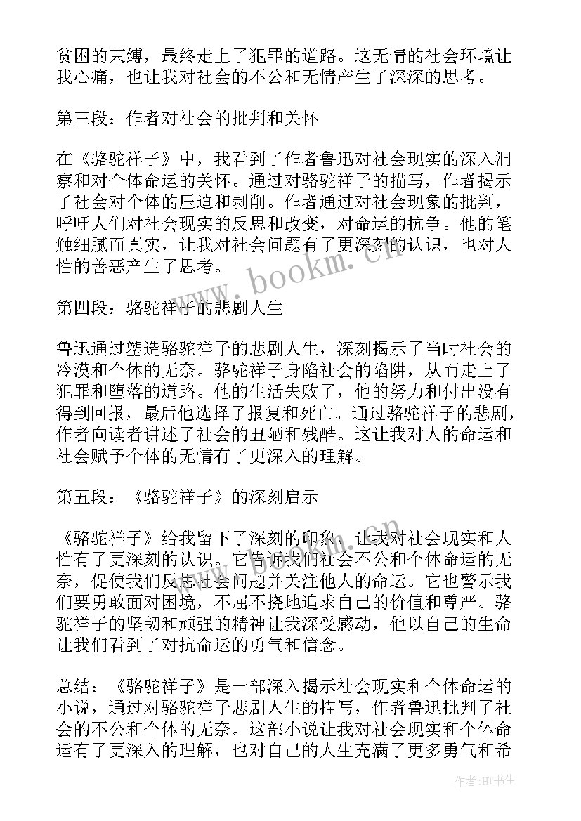 2023年骆驼祥子的心得体会(模板16篇)