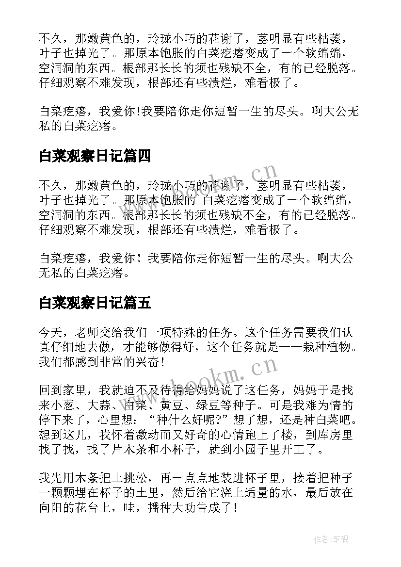 最新白菜观察日记(实用8篇)