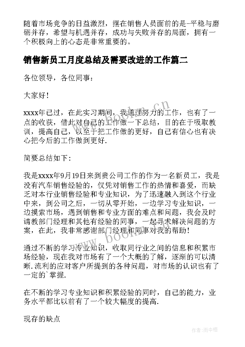 2023年销售新员工月度总结及需要改进的工作 新员工销售工作总结(优秀9篇)