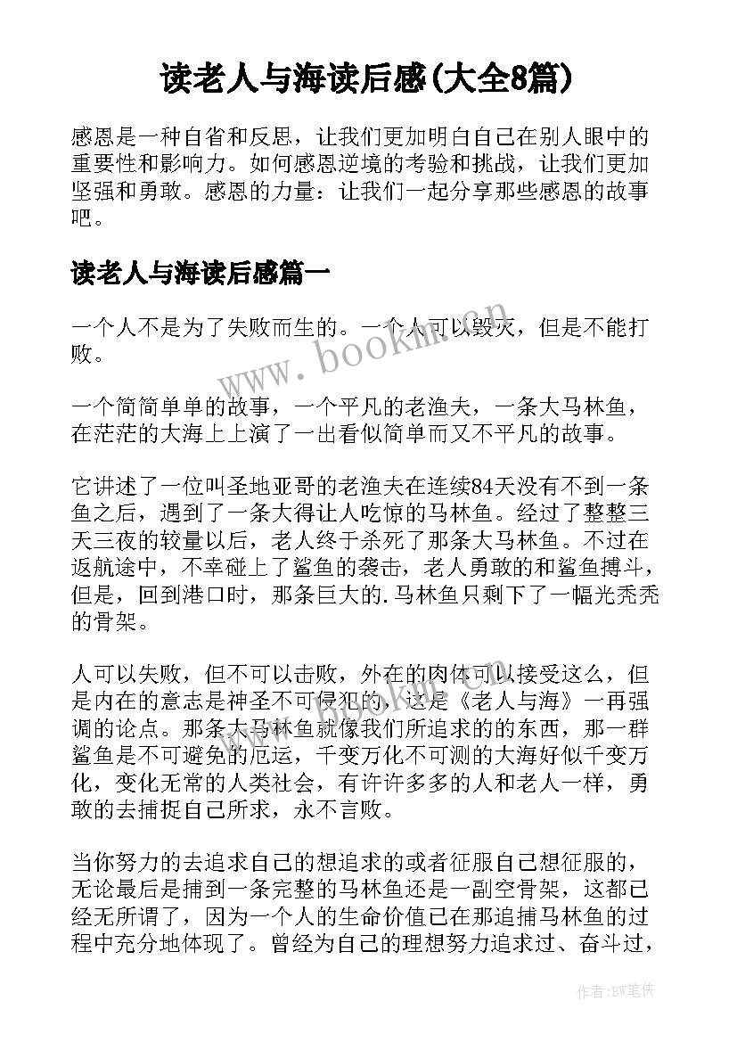 读老人与海读后感(大全8篇)