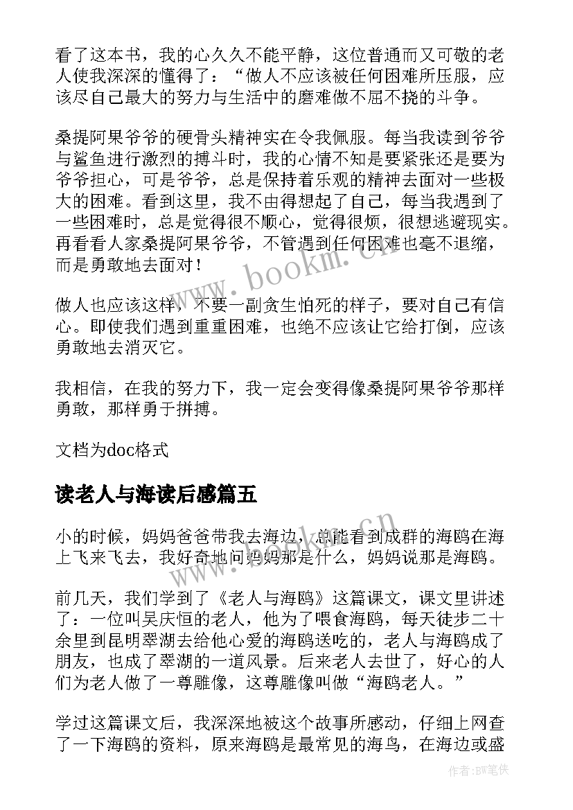 读老人与海读后感(大全8篇)