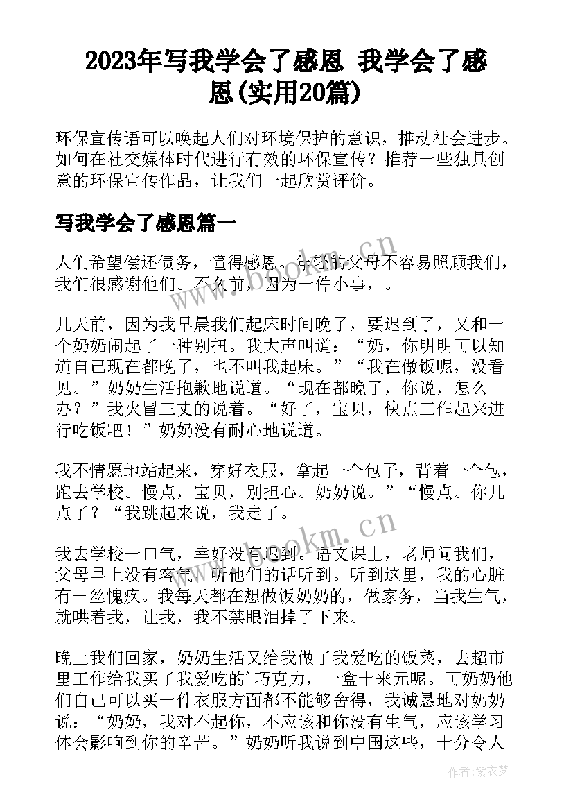 2023年写我学会了感恩 我学会了感恩(实用20篇)