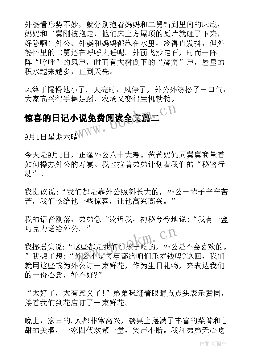 2023年惊喜的日记小说免费阅读全文(大全13篇)