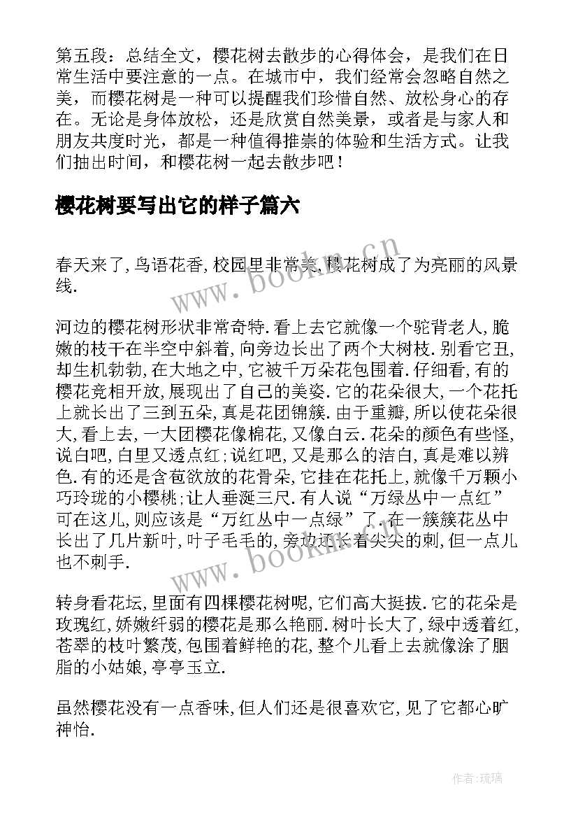 最新樱花树要写出它的样子 樱花树去散步的心得体会(精选9篇)