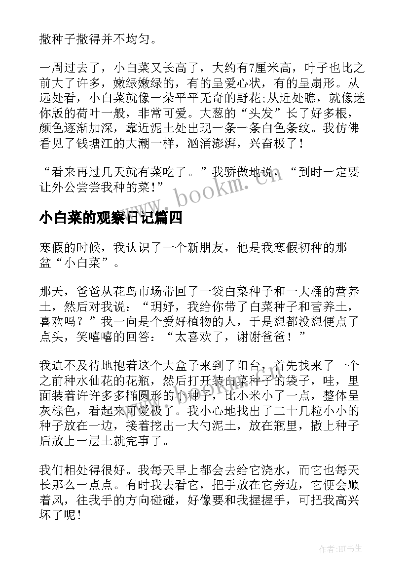 2023年小白菜的观察日记(优质8篇)