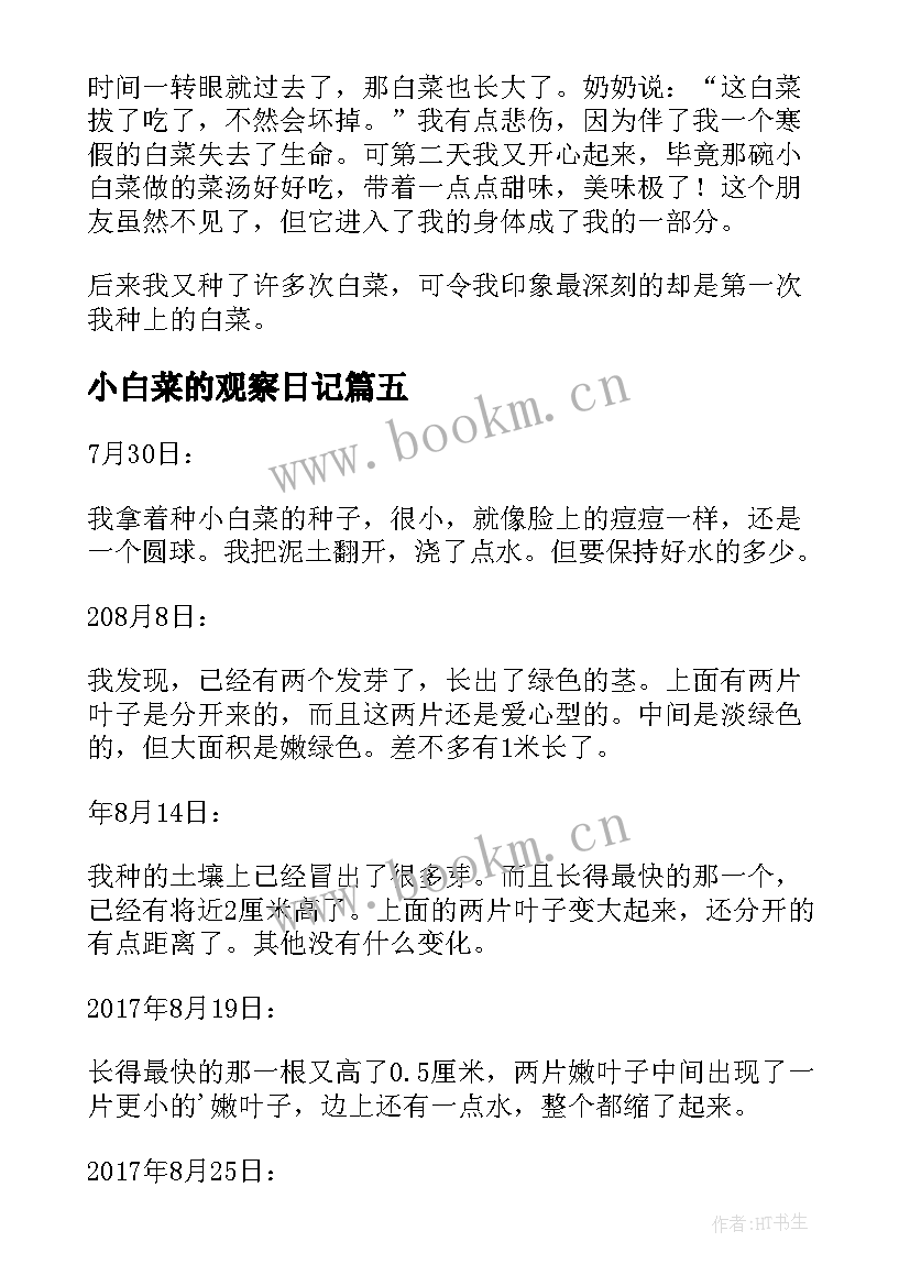 2023年小白菜的观察日记(优质8篇)