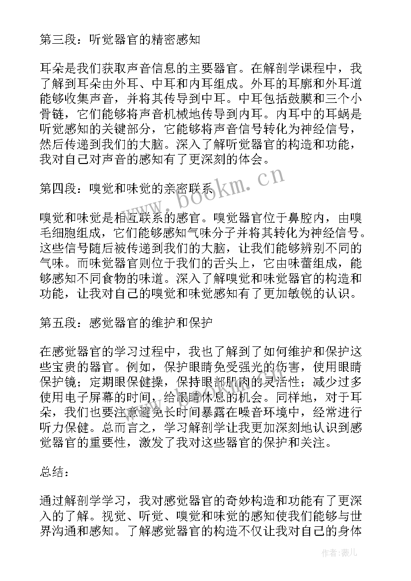 2023年飞一样的感觉 超越感觉心得体会(实用19篇)