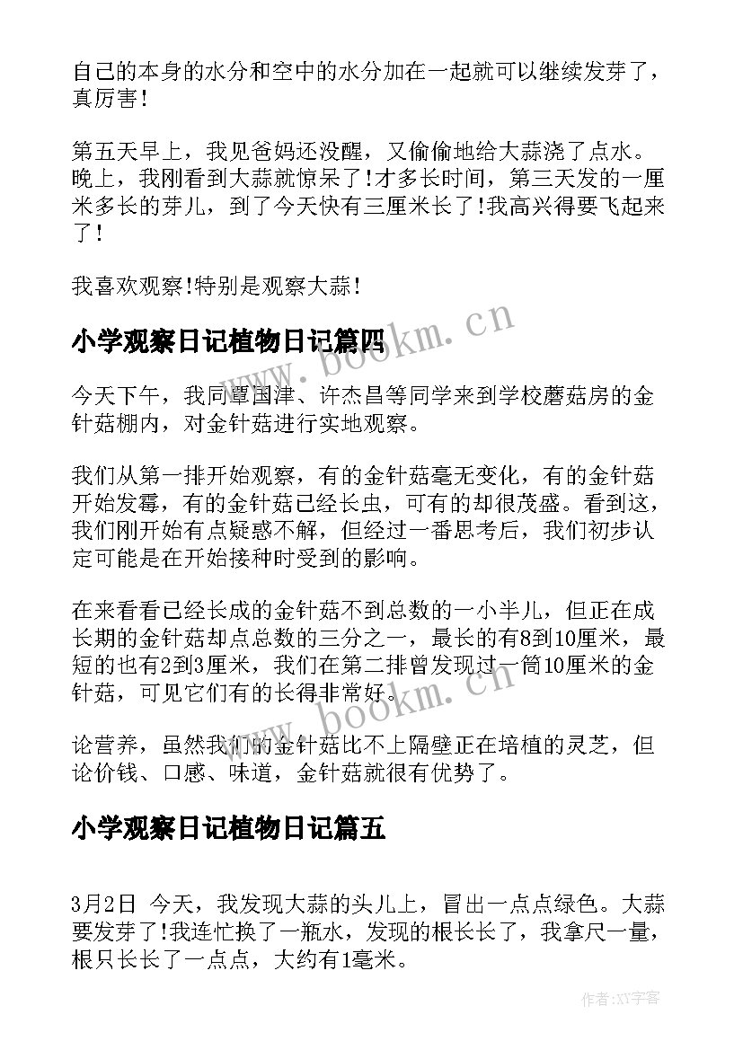 2023年小学观察日记植物日记 植物观察日记小学生观察向日葵的日记(精选7篇)