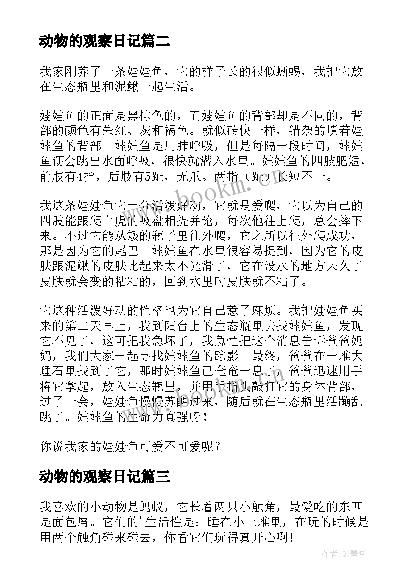 2023年动物的观察日记 动物观察日记(模板17篇)