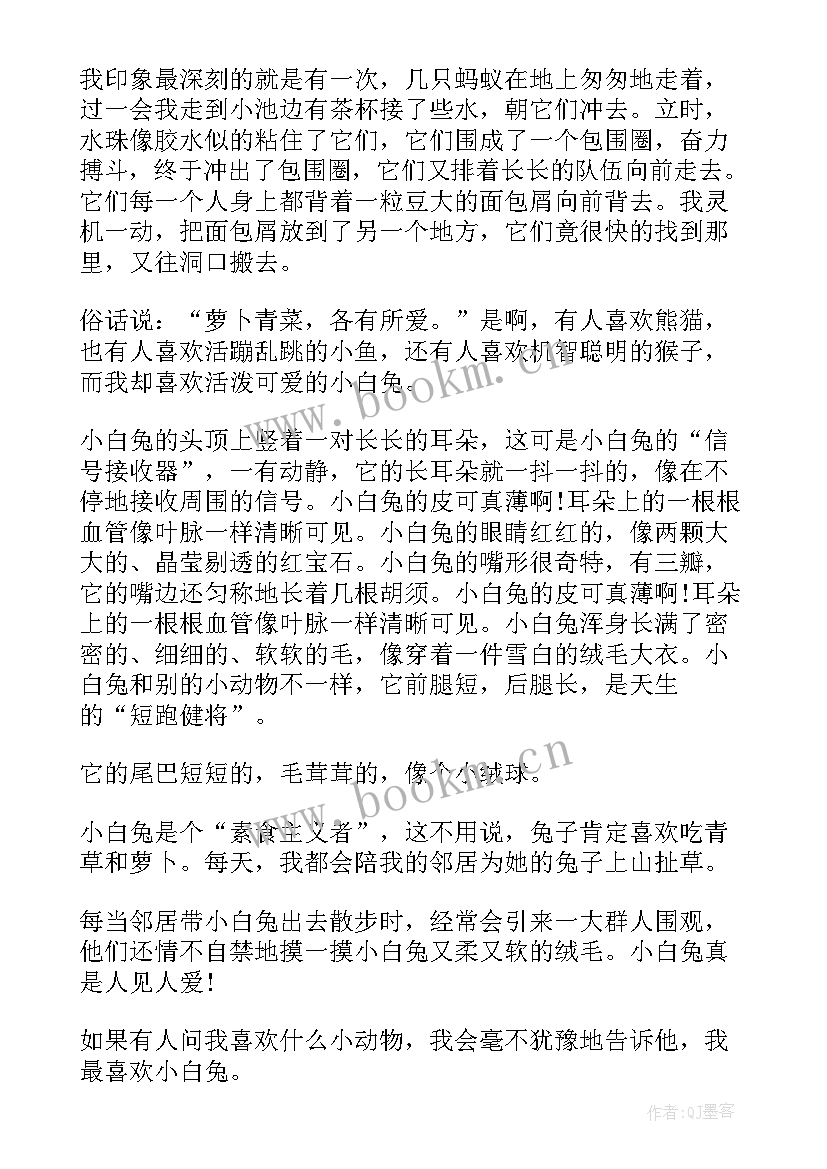 2023年动物的观察日记 动物观察日记(模板17篇)