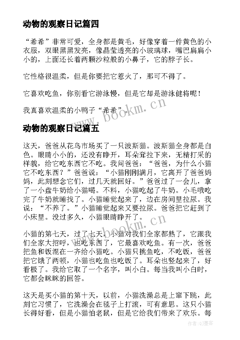 2023年动物的观察日记 动物观察日记(模板17篇)