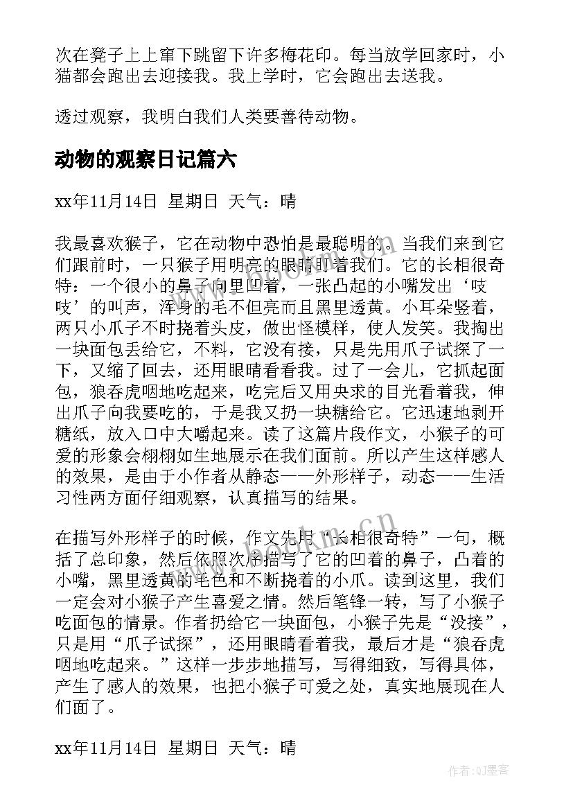 2023年动物的观察日记 动物观察日记(模板17篇)