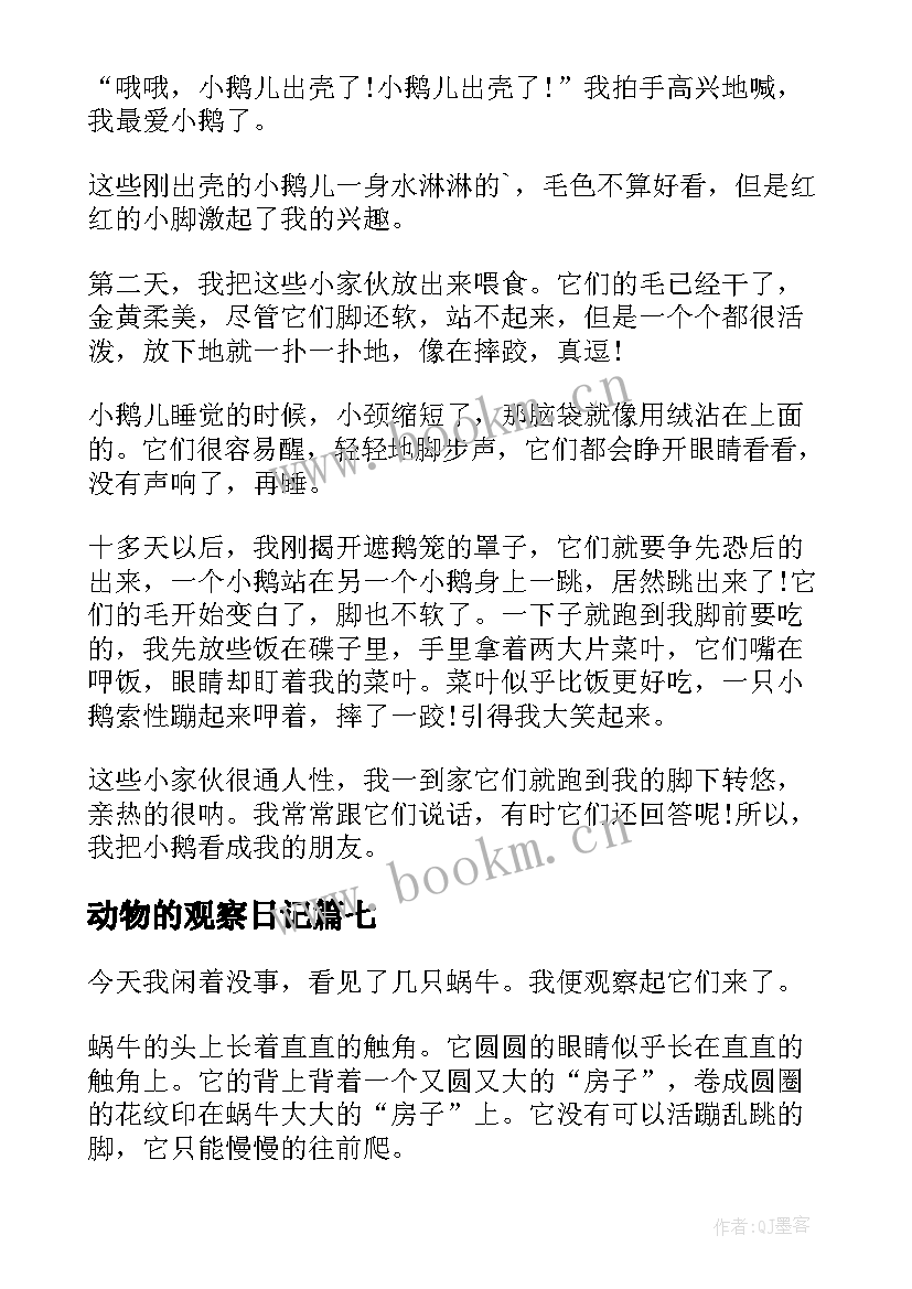 2023年动物的观察日记 动物观察日记(模板17篇)