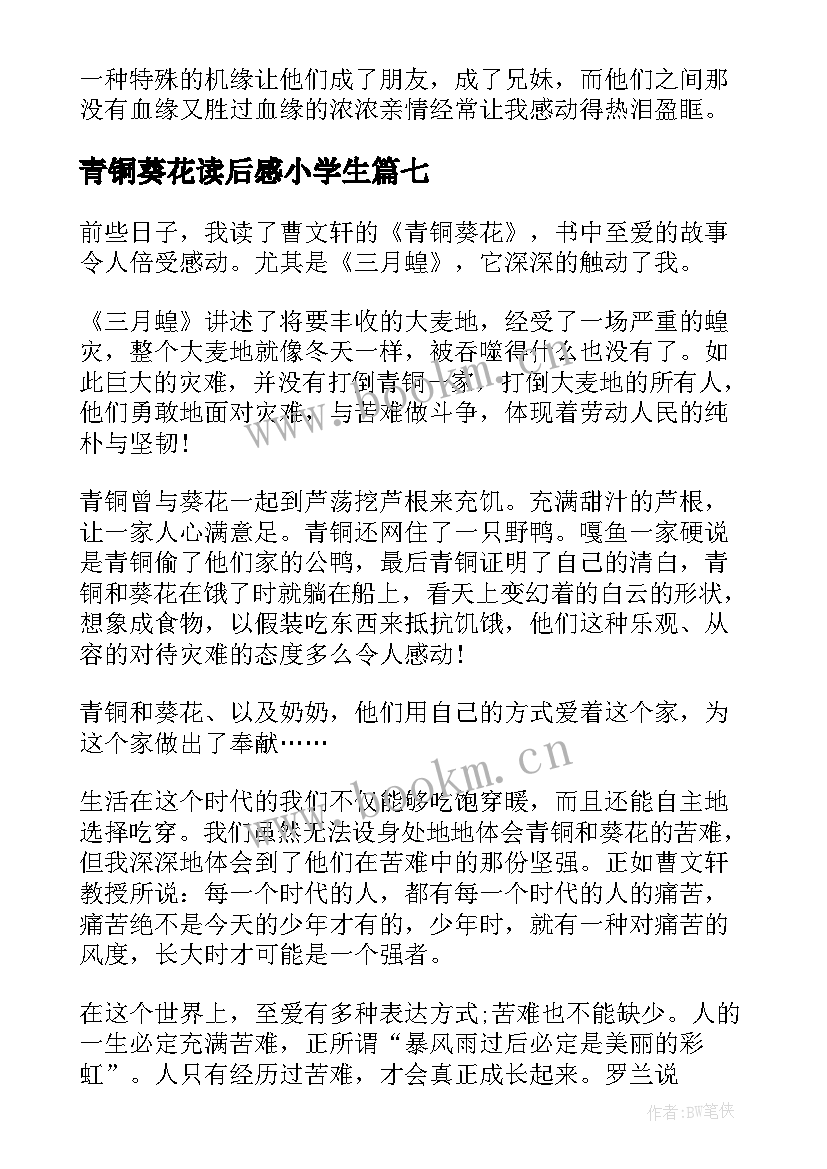 2023年青铜葵花读后感小学生(优秀8篇)