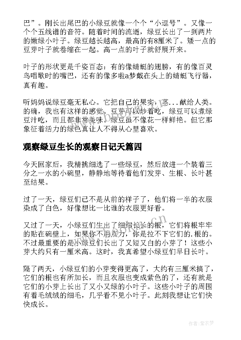 观察绿豆生长的观察日记天 绿豆生长观察日记(优质9篇)