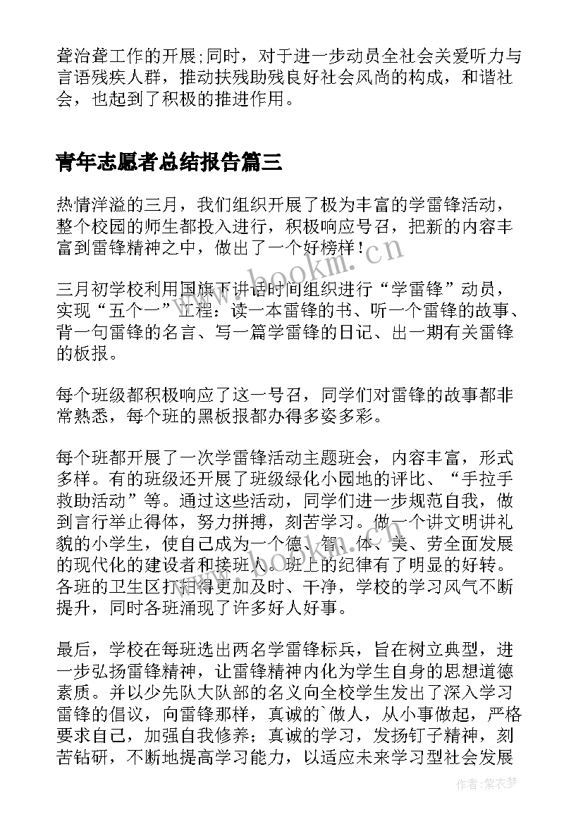 2023年青年志愿者总结报告(精选13篇)