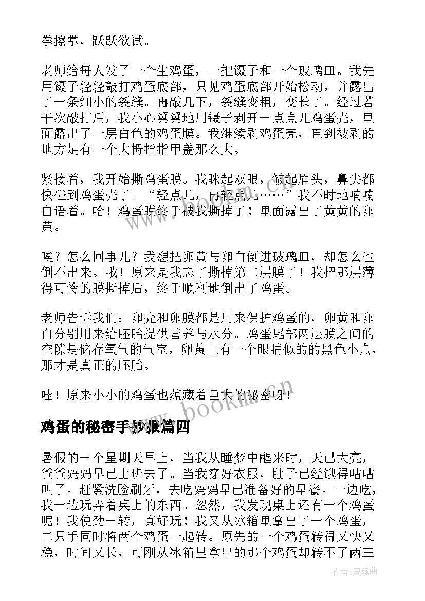 鸡蛋的秘密手抄报(汇总10篇)