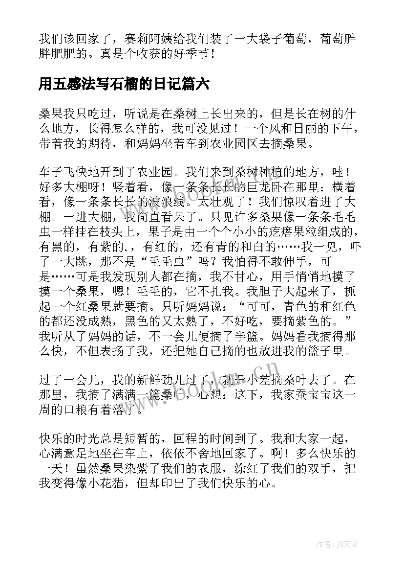 2023年用五感法写石榴的日记(大全8篇)