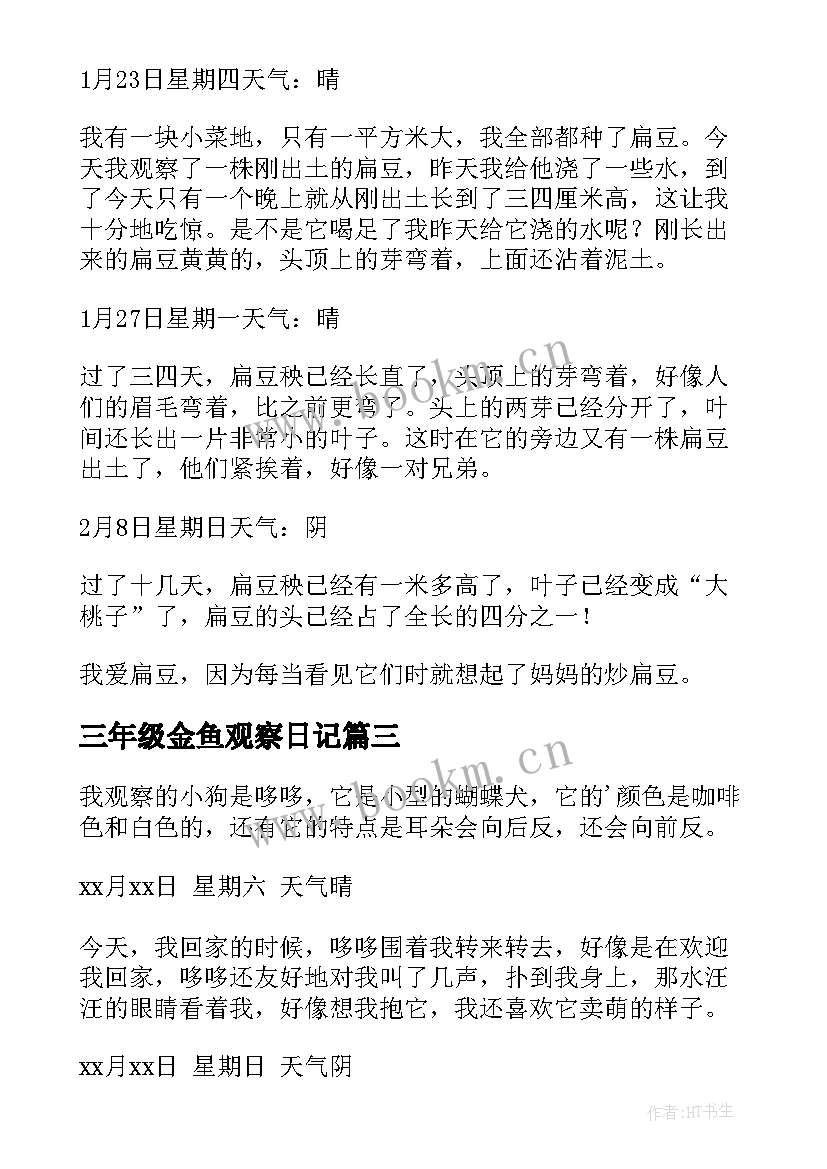 最新三年级金鱼观察日记(通用12篇)