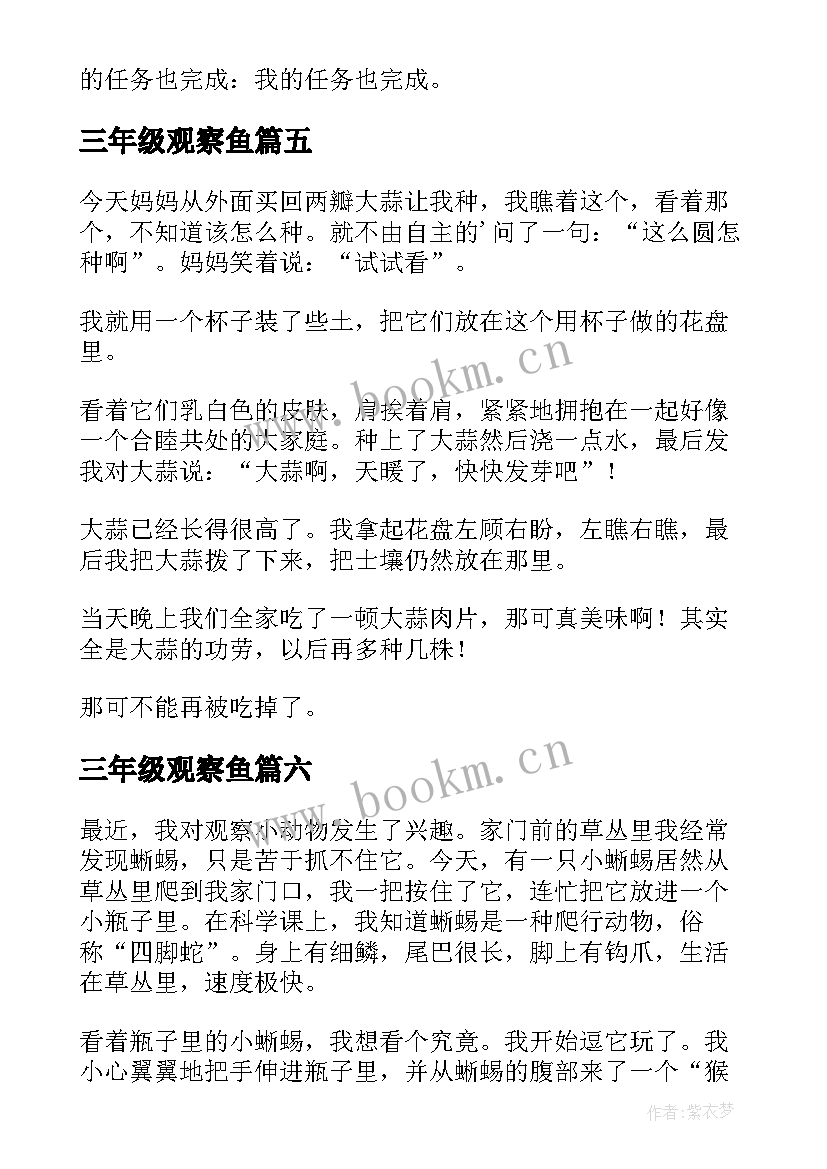 三年级观察鱼 三年级观察日记(实用8篇)