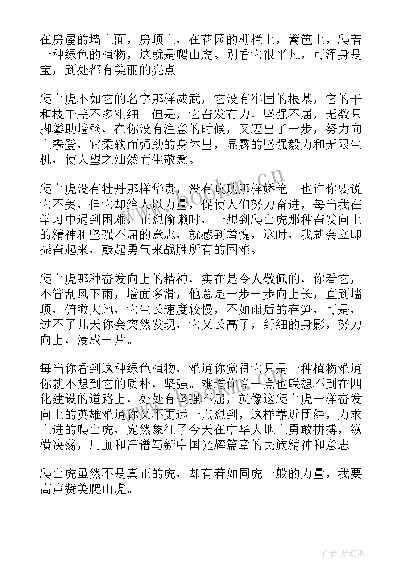 2023年爬山虎的脚 爬山虎脚读后感(通用8篇)