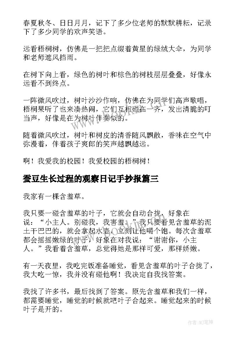 2023年蚕豆生长过程的观察日记手抄报 观察植物生长过程日记(精选13篇)