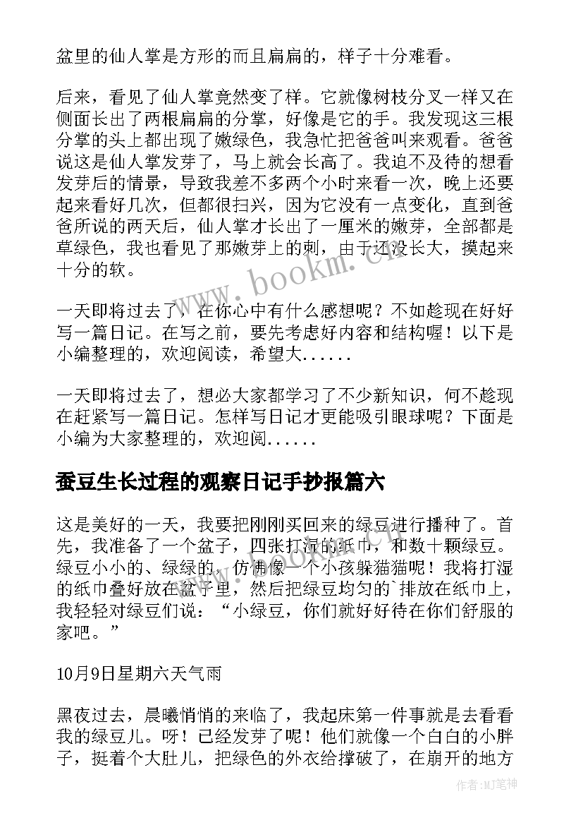 2023年蚕豆生长过程的观察日记手抄报 观察植物生长过程日记(精选13篇)