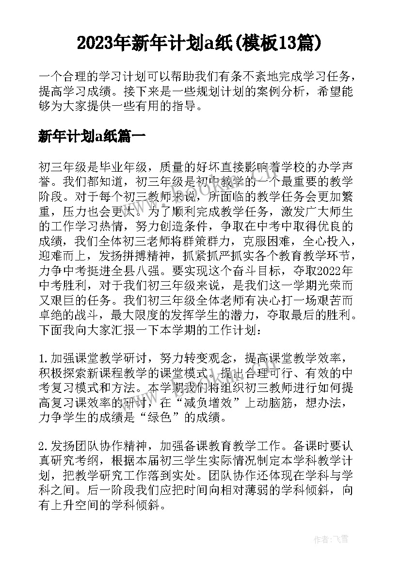 2023年新年计划a纸(模板13篇)