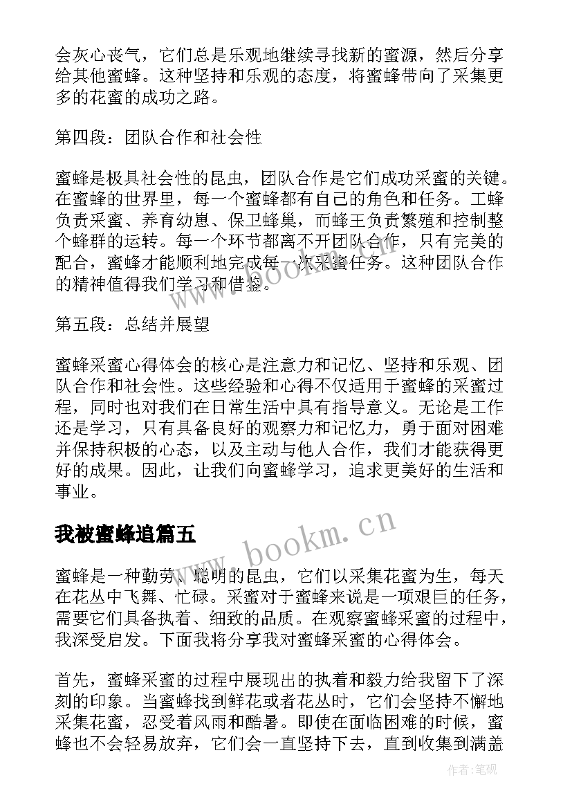 最新我被蜜蜂追 蜜蜂采蜜心得体会(精选18篇)