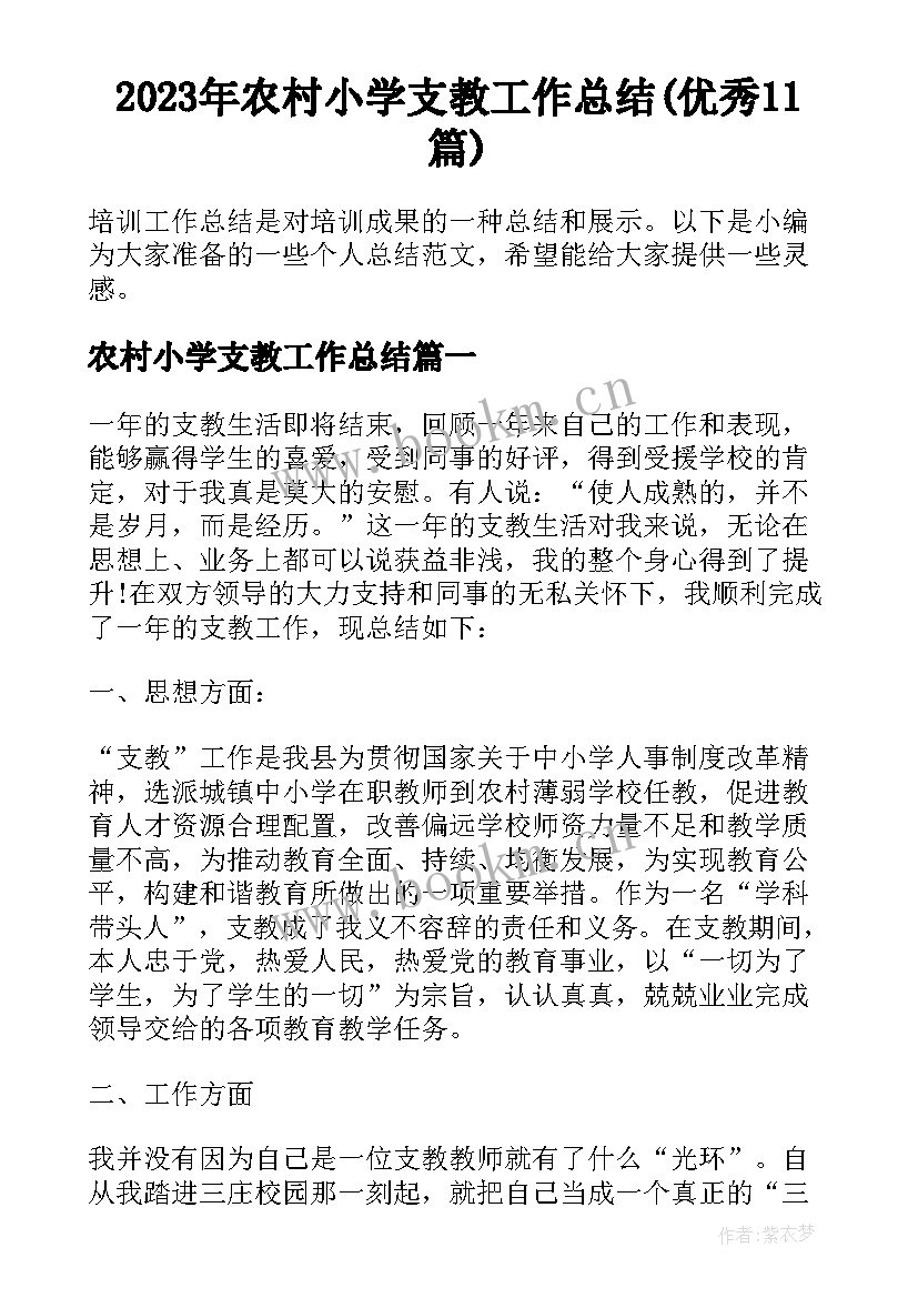 2023年农村小学支教工作总结(优秀11篇)