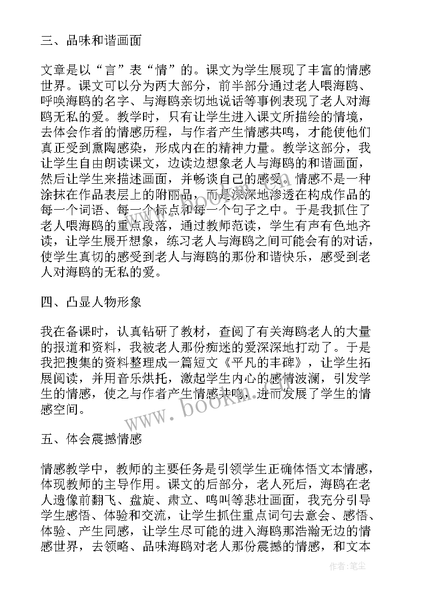 老人与海鸥课教案 老人与海鸥教学反思(模板11篇)